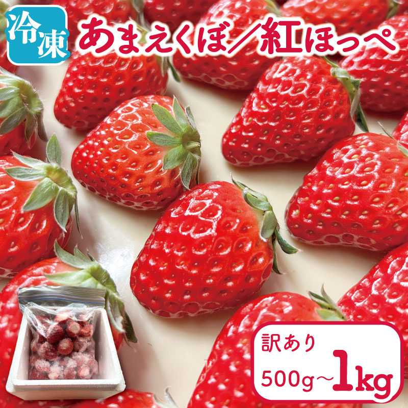 【ふるさと納税】 訳あり いちご 冷凍 紅ほっぺ あまえくぼ 500g / 1kg 選べる 容量 冷凍いちご 人気 果物 フルーツ 冷凍フルーツ フローズン スムージー 新鮮 旬 冬 春 ケーキ デザート ギフト 贈り物 贈答 イチゴ 苺 ストロベリー 徳島県 吉野川市 あんいちご園