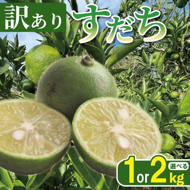 楽天ふるさと納税 第75位の商品画像
