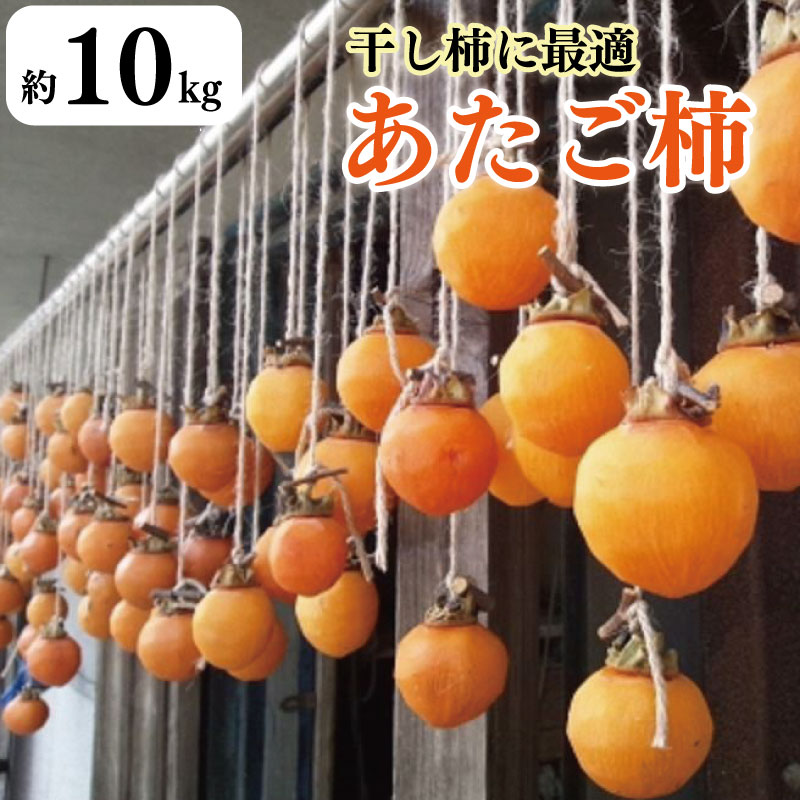 【ふるさと納税】 柿 10kg 干し柿 家庭用 あたご柿 レシピ付き 先行予約 2025年11月上旬～発送予定 果物 フルーツ デザート ケーキ ゼリー ジュース アイス ジャム 甘い カキ お菓子 旬 干柿 ほしがき お取り寄せ 徳島県 吉野川市