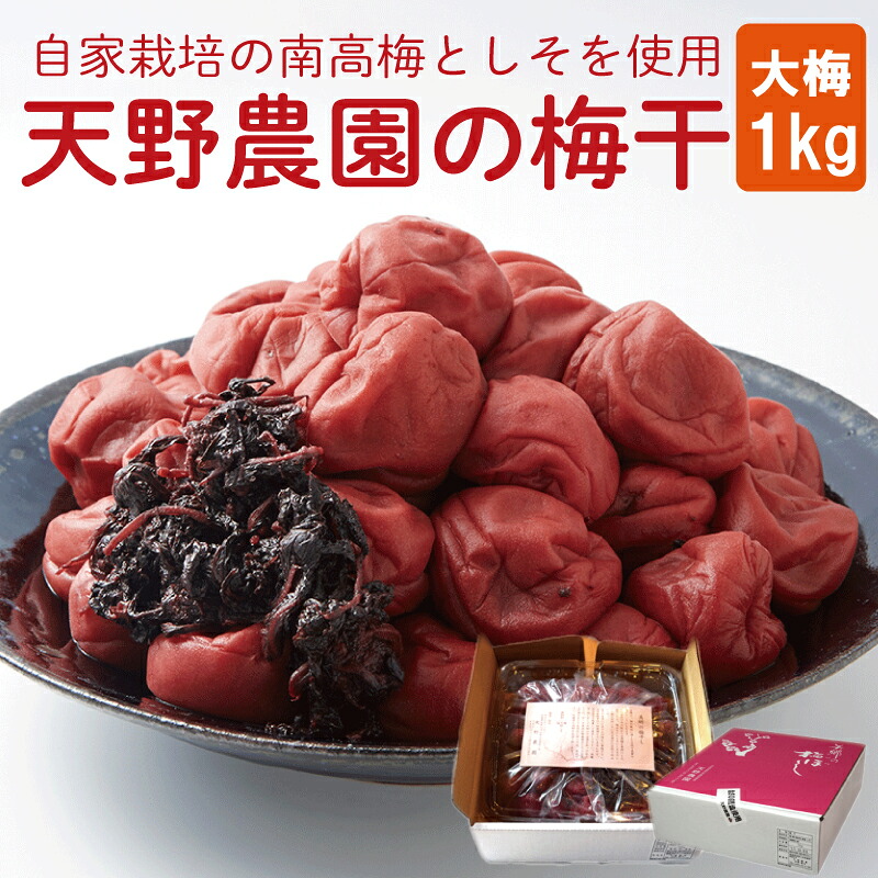 【ふるさと納税】 梅干し 1kg 大梅 南高梅 《 2026年10月以降順次発送 》 昔ながら 酸っぱい しそ 酸味 国産 自家栽培 梅 保存料不使用 着色料不使用 米 のお供 おにぎり お弁当 常備食 梅干 梅 果物 漬物 お取り寄せ グルメ 地場産品 美郷 天野農園 徳島県 吉野川市｜徳島県吉野川市