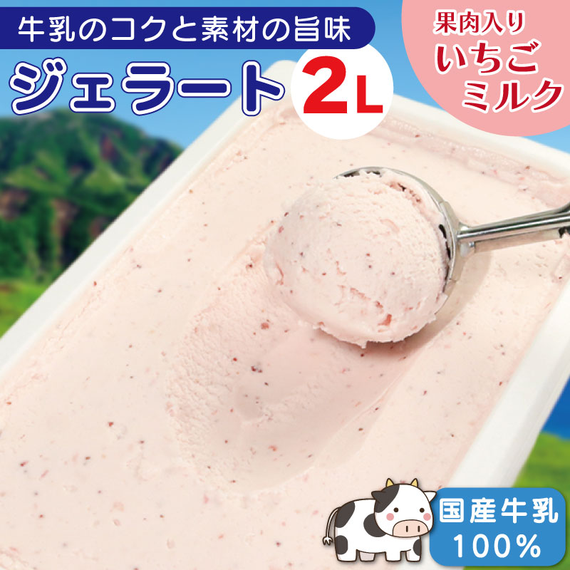 【ふるさと納税】 ジェラート 業務用 2L いちごミルク アイスクリーム アイス デザート いちご 苺 果肉入り イチゴミルク フルーツ 果物 国産 牛乳 ミルク クリーム スイーツ 菓子 洋菓子 おやつ パーティー ギフト 徳島県 吉野川市｜徳島県吉野川市