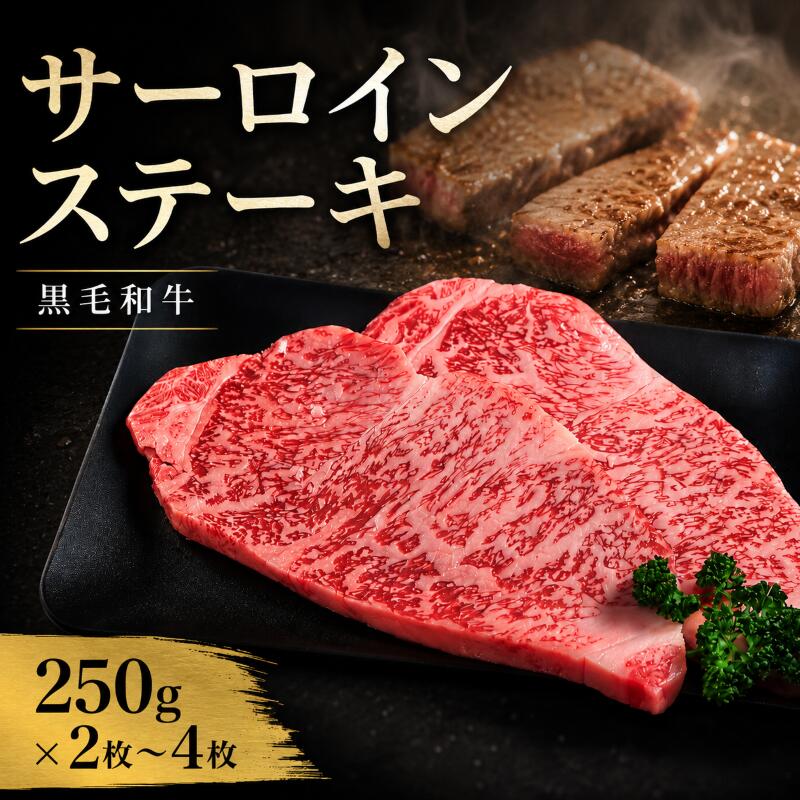 【ふるさと納税】 牛肉 サーロイン 黒毛和牛 ステーキ肉 1枚約250g 選べる 容量 2枚 3枚 4枚 国産和牛 肉 にく ぎゅう うし 小分け 便利 ローストビーフ しゃぶしゃぶ 焼肉 おかず 冷凍 人気 おつまみ 贈答 プレゼント 徳島県 吉野川市｜徳島県吉野川市
