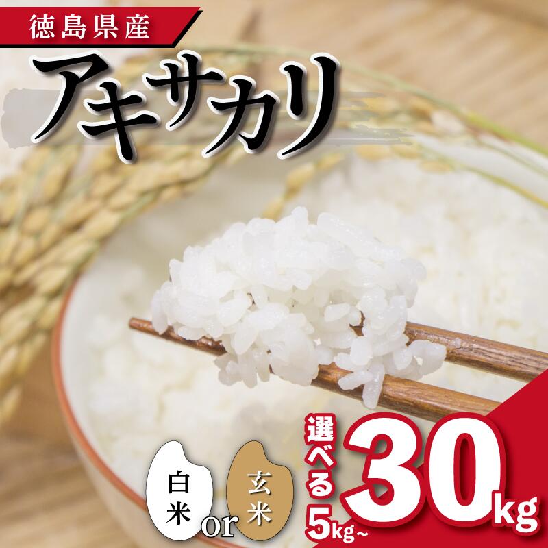 楽天市場】徳島県阿南産コシヒカリ令和7年産新米1等米25kg