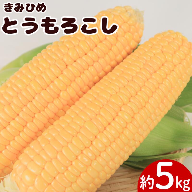 【ふるさと納税】 とうもろこし きみひめ 約5kg Lサイズ 14本～16本 《 2026年6月発送 》 スイートコーン 冷蔵 コーン 野菜 やさい 新鮮 サラダ 茹でとうもろこし 焼きもろこし 天ぷら スープ BBQ 焼き肉 アウトドア キャンプ 特産品 産地直送 徳島県 吉野川市