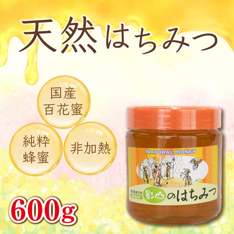 楽天市場】【ふるさと納税】 はちみつ 国産 定期便 6回 500g 純度100