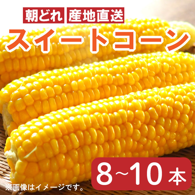 楽天市場】【ふるさと納税】 とうもろこし 5kg スイートコーン 楽天市場】【ふるさと納税】 とうもろこし 5kg スイートコーン