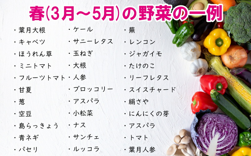 野菜 お楽しみ 定期便 有機野菜 12回 じゃがいも 玉ねぎ 10~12品目 詰め合わせ 有機栽培 セット とまと 野菜・きのこ | windowmaker.com