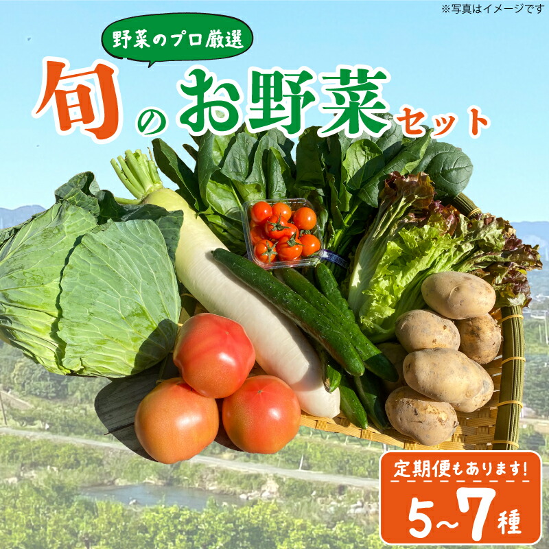 【ふるさと納税】 野菜 5~7品目 詰め合わせ セット 定期便 旬 新鮮 季節の野菜 なすび ブロッコリー キャベツ 白菜 レタス サニーレタス ほうれん草 きゅうり ピーマン とうもろこし トマト ミニトマト 大根 絹さや インゲン豆 玉ねぎ 阿波市 徳島県
