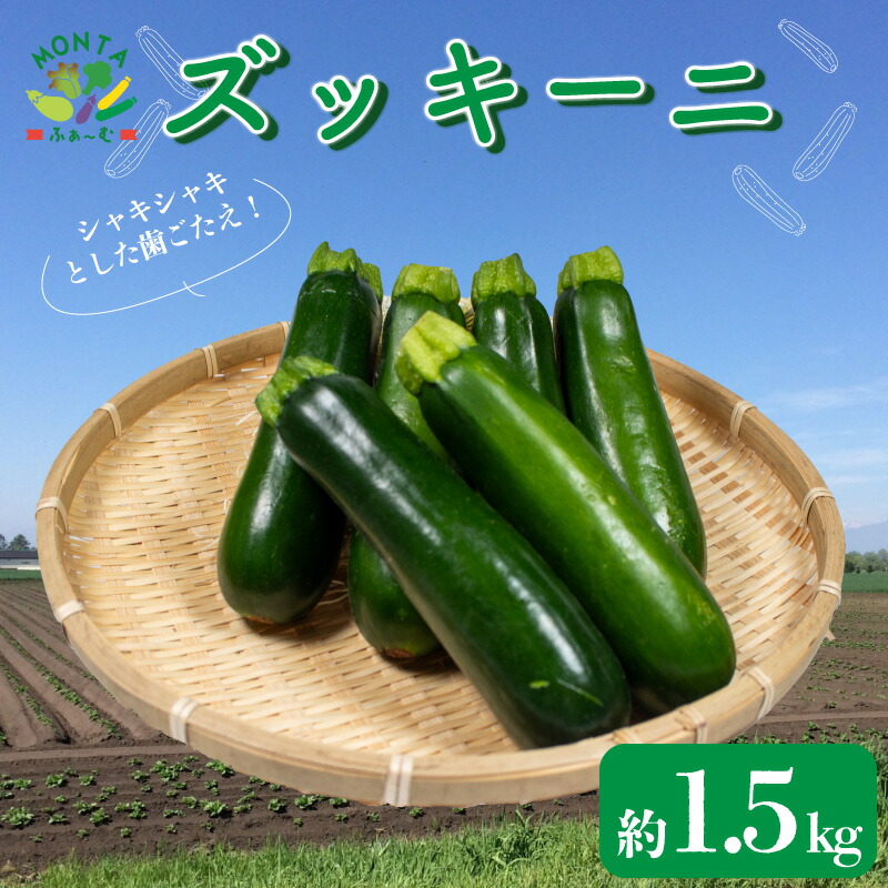 【ふるさと納税】 野菜 ズッキーニ  約 1.5kg 朝どれ 産地直送 夏野菜 サラダ 肉巻き BBQ 先行予約 徳島県 阿波市