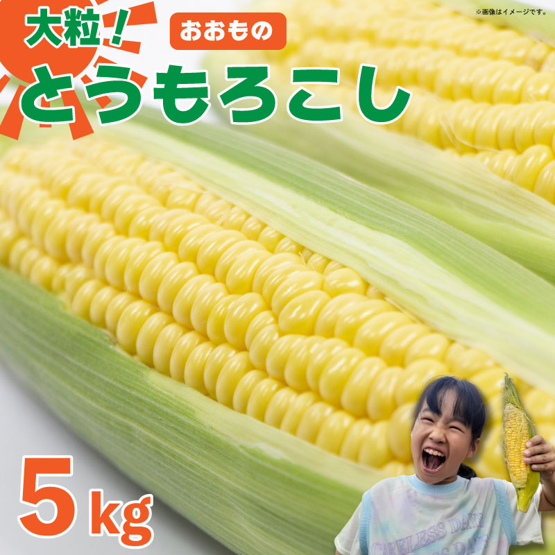 【ふるさと納税】 とうもろこし 5kg スイートコーン おおもの コーン 甘い 野菜 採れたて 夏野菜 ポタージュ スープ サラダ おやつ おかず 数量限定 朝採れ 高糖度 産地直送 期間限定 先行予約 新鮮 コーン 旬 サラダ 徳島県 阿波市