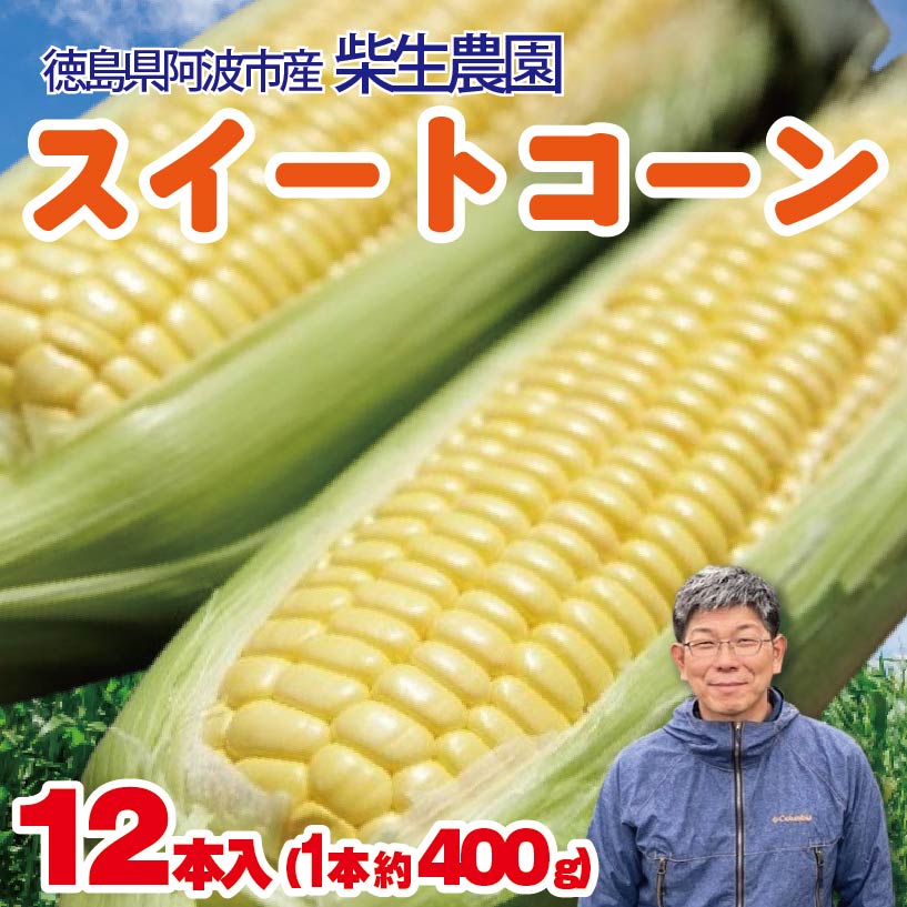 【ふるさと納税】 とうもろこし スイートコーン 12本入り 約5kg 品種 おおもの 《2025年6月～順次発送》 野菜 甘い 採れたて 産地直送 夏野菜 数量限定 朝採れ 農家直送 期間限定 新鮮 コーン 旬 サラダ 徳島県 阿波市