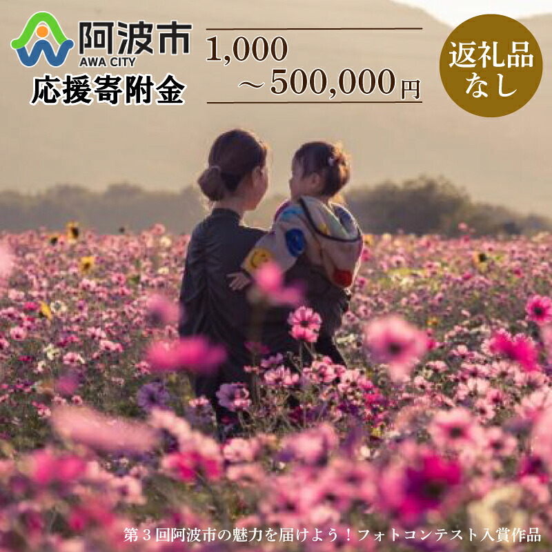 【ふるさと納税】 返礼品なし 応援寄附 徳島県 阿波市 1000円 3000円 5000円 10万円 50万円|徳島県阿波市