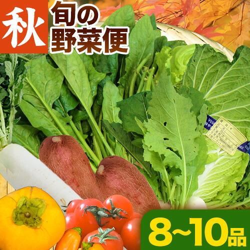 【ふるさと納税】＜ 先行予約 ＞ 旬の新鮮な 野菜便 10月秋便 8～10品 アグリサポート美馬《10月上旬-10月末頃出荷》秋野菜 大根 かぼちゃ すだち さつまいも ブロッコリー 次郎柿 ほうれん草 ミニトマト 野菜 青果物 送料無料 徳島県 美馬市