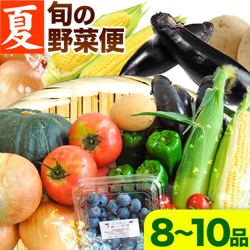 【ふるさと納税】＜先行予約＞ 旬の新鮮な 野菜便 7月夏便 8～10品 アグリサポート美馬《7月上旬-7月末頃出荷》とうもろこし 夏野菜 じゃがいも きゅうり ブルーベリー キャベツ 茄子 玉ねぎ 豆 野菜 青果物 送料無料 徳島県 美馬市