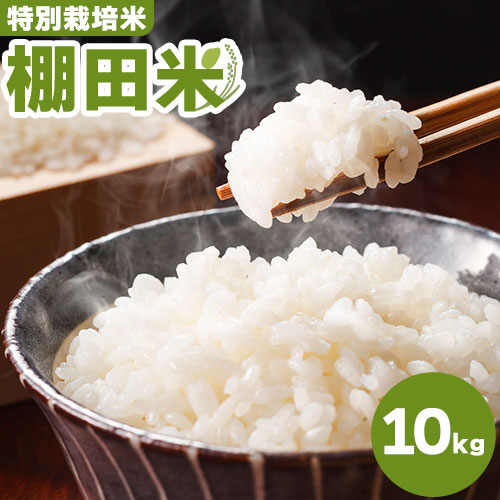 【ふるさと納税】米 棚田米 10kg 特別栽培米 エイコーファーム 《30日以内に出荷予定(土日祝除く)》ごはん こめ ご飯 精米 徳島県 美馬市｜徳島県美馬市 13,680円