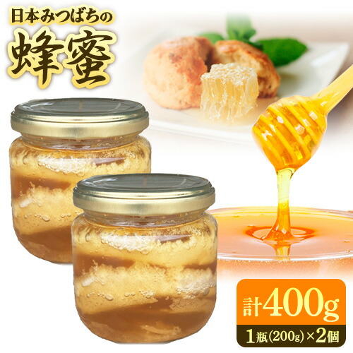 【ふるさと納税】日本みつばちの蜂蜜 200g×2個 計400g 美馬工房 《30日以内に出荷予定(土日祝除く)》 ハチミツ はちみつ 自然採取 2瓶 国産 徳島県 美馬市|徳島県美馬市