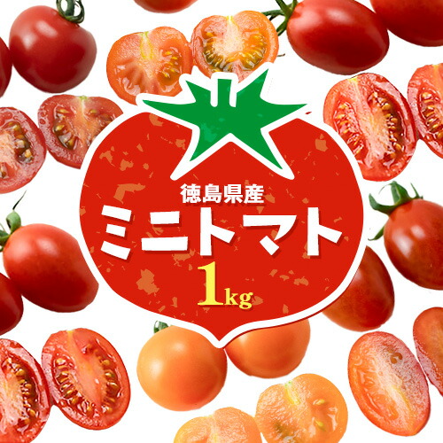 【ふるさと納税】ミニトマト 1kg 《11月上旬-6月末頃より出荷予定》株式会社ヴェリタス 徳島県 美馬市 青果物 野菜 とまと トマト フロランティーノ アルル アマイアリー アイコ 千恋 チコ