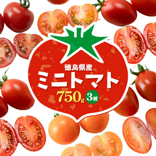 【ふるさと納税】ミニトマト 750g ( 250g × 3種類 )《11月上旬-6月末頃より出荷予定》ヴェリタス株式会社 徳島県 美馬市 青果物 野菜 とまと トマト フロランティーノ アルル アマイアリー アイコ 千恋 チコ