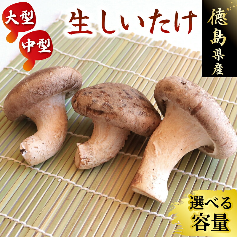 【ふるさと納税】 しいたけ 椎茸 2kg 程度 大型 6パック / 中型 10袋 肉厚 きのこ ステーキ 生しいたけ 生 シイタケ 出汁 だし 焼き料理 蒸し料理 鍋 焼肉 バーベキュー 汁物 味噌汁 スープ 炒め物 野菜 旨味 うまみ セット 菌床しいたけ 大西農園 徳島県 三好市 みよし|徳島県三好市