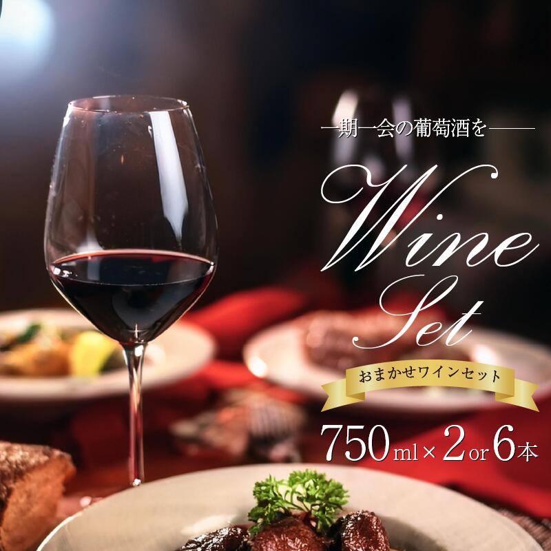 【ふるさと納税】 【 醸造所 直送 】国産 ワイン こだわり 750ml 2本 セット 定期便 3回 4月 7月 12月 発送 Natan ナタン 葡萄酒 醸造所 直送 酒 国産ワイン 国産 プレゼント 贈答用 ギフト 記念 グルメ 送料無料 徳島県 三好市 みよし NATAN｜徳島県三好市