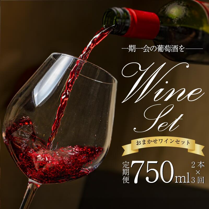 【ふるさと納税】 【 醸造所 直送 】国産 ワイン こだわり 750ml 選べる 2本 6本セット Natan 葡萄酒 醸造所 酒 国産 国産ワイン ぶどう ブドウ 国産 特別 プレゼント 贈答用 ギフト 記念 記念日 グルメ 定期便 送料無料 徳島県 三好市 みよし ナタン NATAN｜徳島県三好市 51,000円