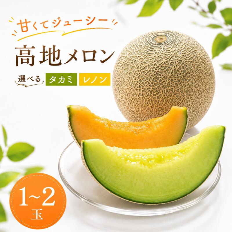 【ふるさと納税】 メロン 先行予約 1玉 2玉 選べる品種 赤肉 青肉 化粧箱 徳島県産 フルーツ 果物 旬 季節 厳選 高級 人気 デザート ギフト プレゼント 贈答 送料無料 レノンウェーブ タカミ ナポリ 赤肉メロン 青肉メロン 徳島県 三好市 みよし 三好野呂内野菜生産加工組合|徳島県三好市