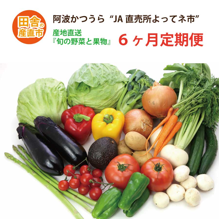 【ふるさと納税】【定期便6回】阿波かつうら 農産物詰合わせ｜徳島県勝浦町