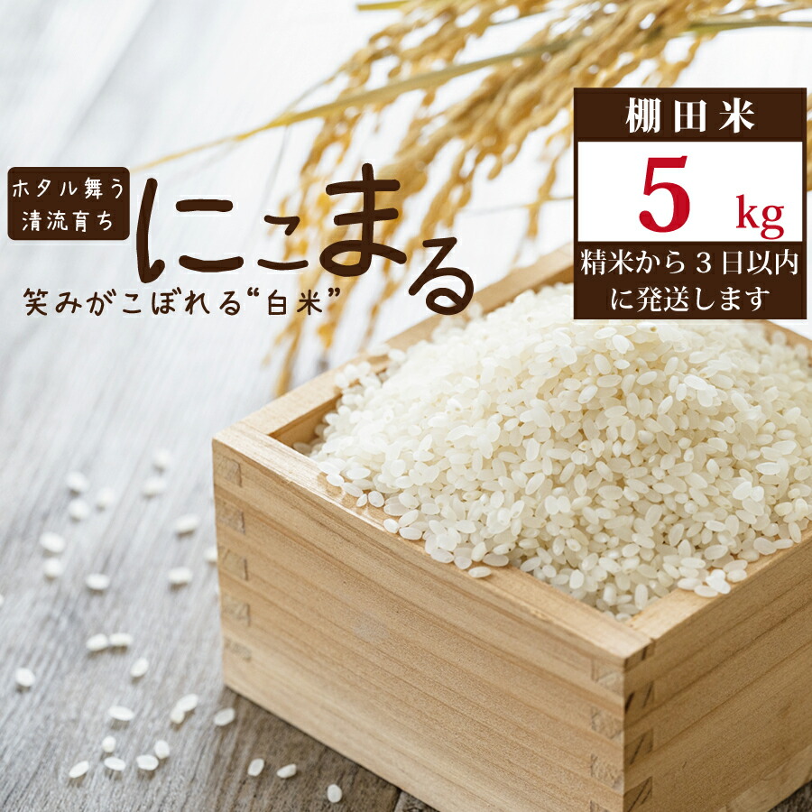 【ふるさと納税】棚田栽培 にこまる 5kg｜徳島県勝浦町
