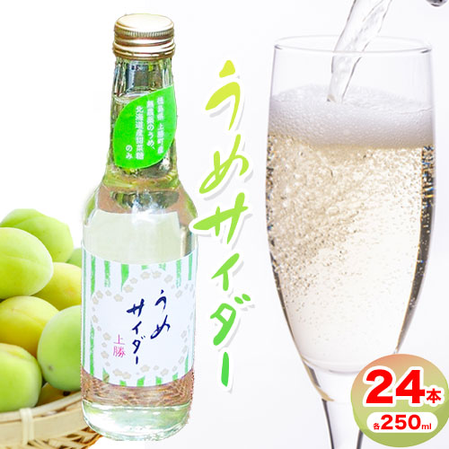 【ふるさと納税】うめサイダー 24本 各250ml 彩食品グループ 《30日以内に出荷予定(土日祝除く)》 徳島県 上勝町 送料無料 梅 うめ サイダー 飲み物 ジュース