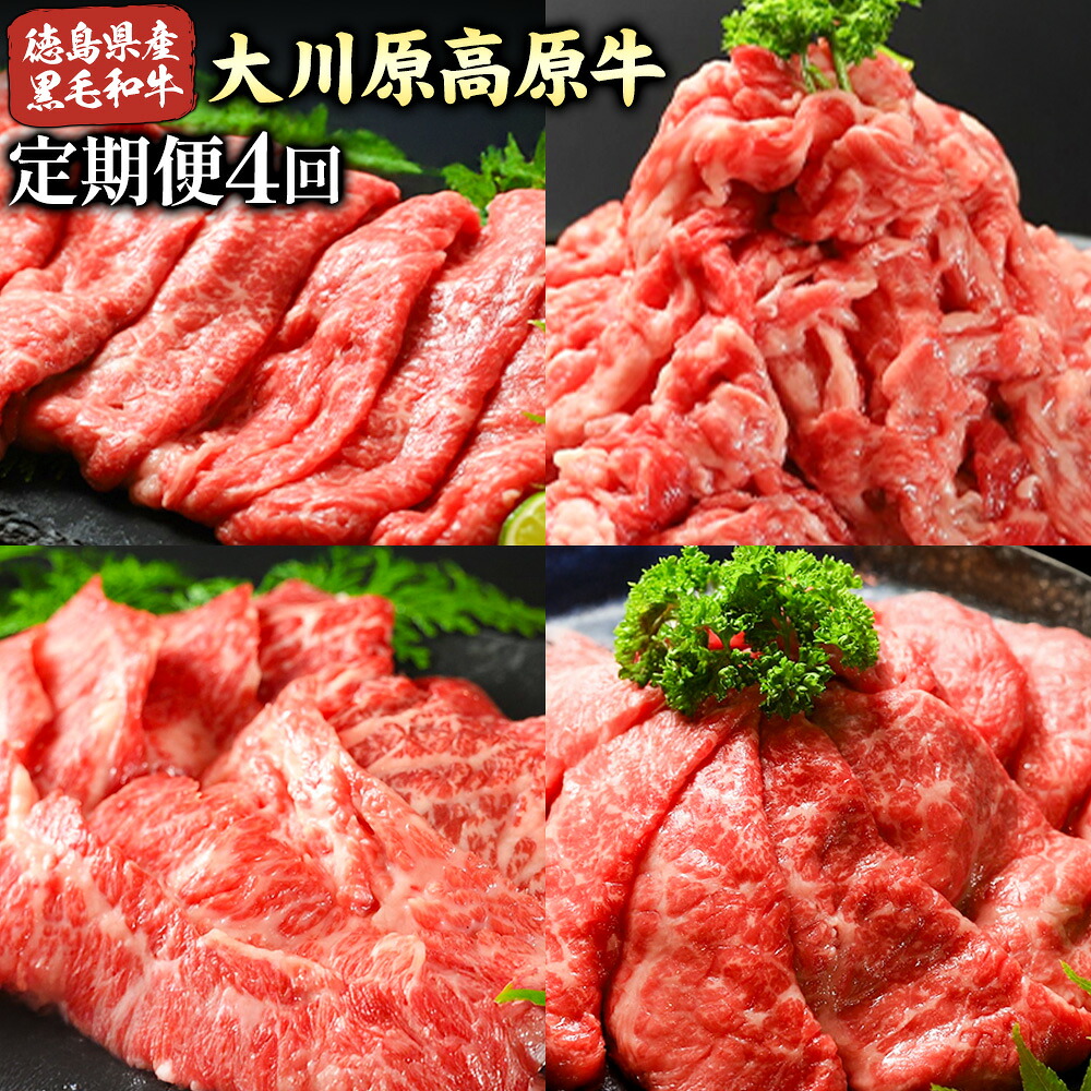 【ふるさと納税】《定期便》全4回お届け！大川原高原牛 (スライス・切り落とし・焼肉・しゃぶしゃぶ ) 株式会社肉の藤原 《お申込み月の翌月から出荷開始》牛肉 定期便 月1回 徳島県 佐那河内村