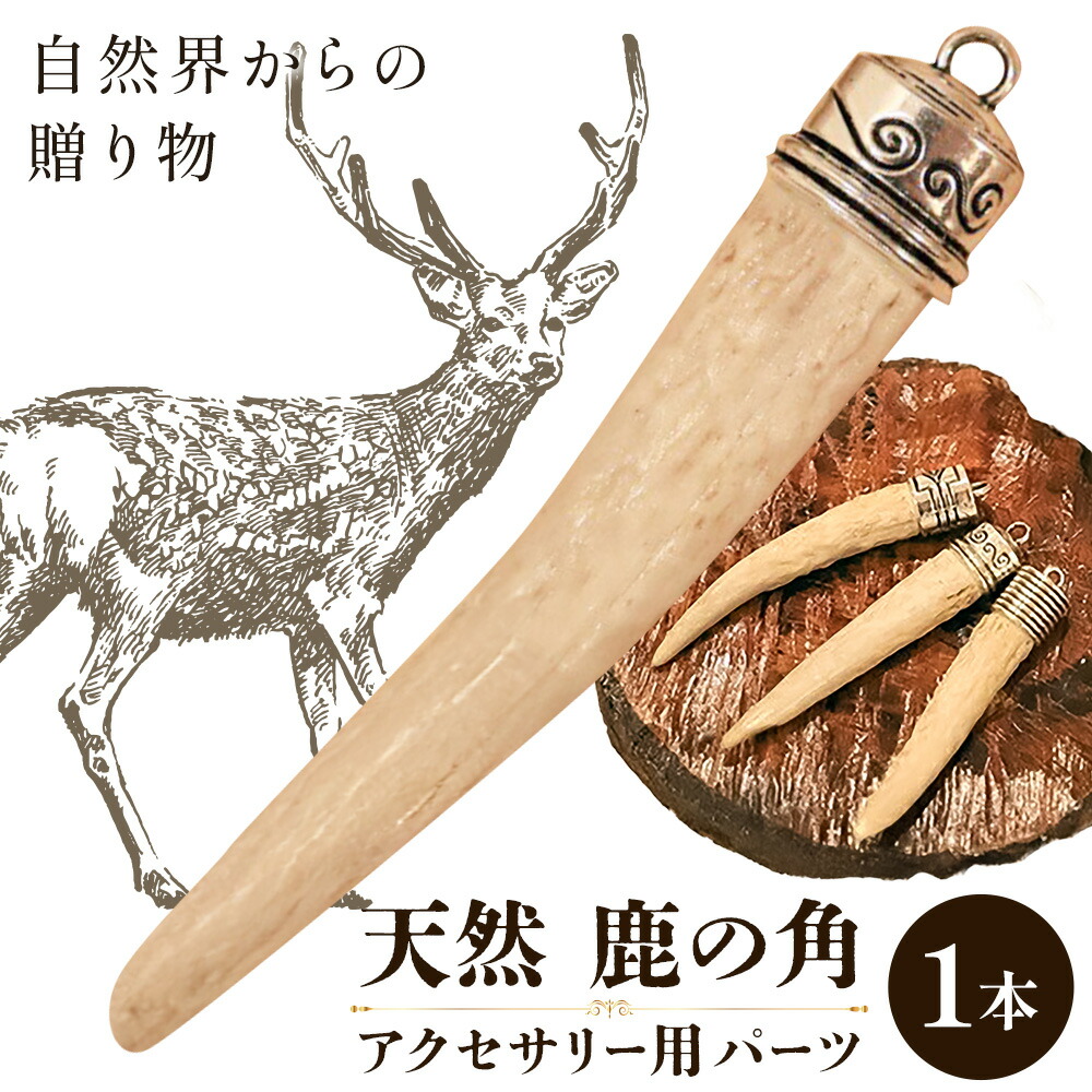 鹿の角3本セット 鹿の角（ツノ） 3本セット インテリア 雑貨