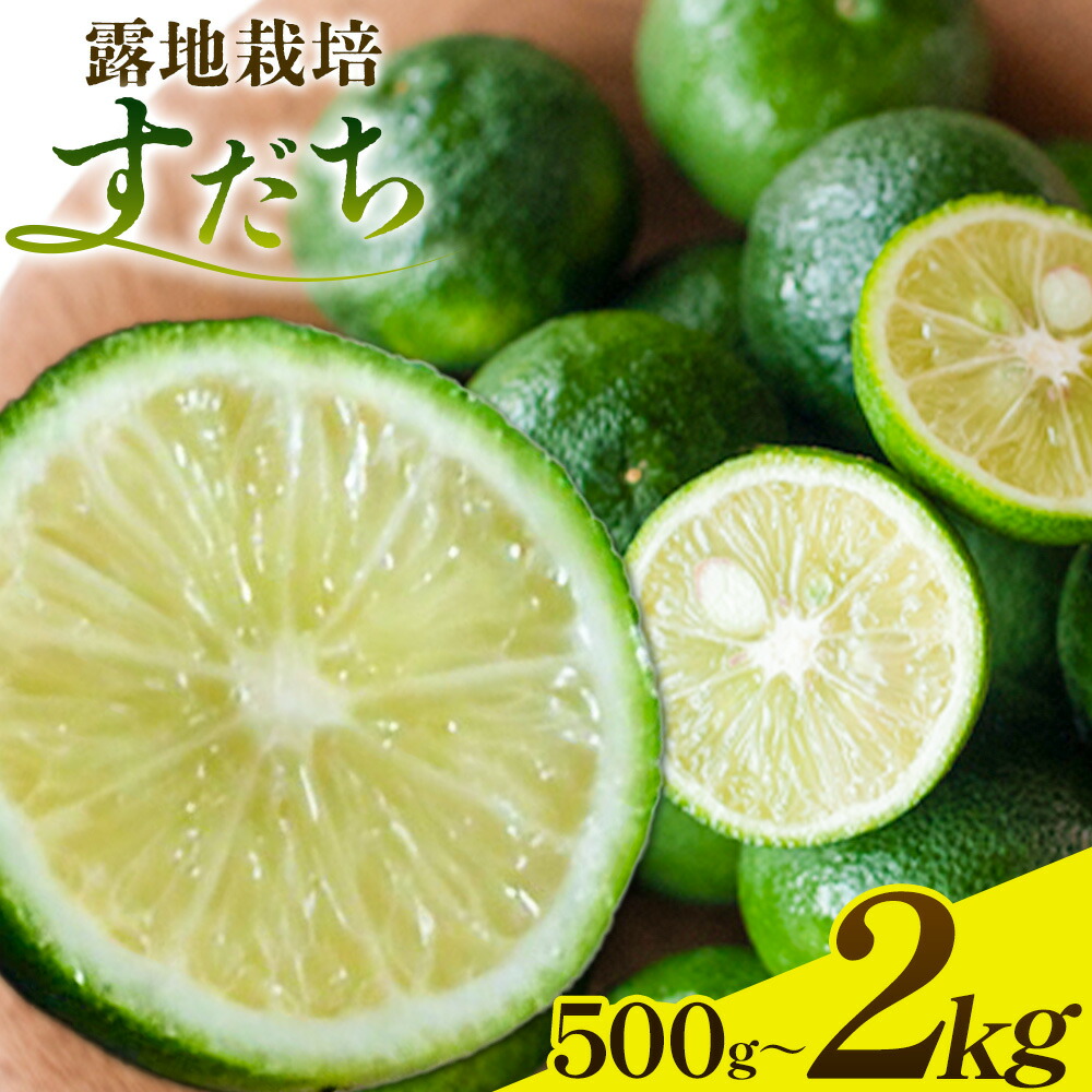 【ふるさと納税】生産量日本一徳島県産 すだち 露地栽培 500g or 1kg or 2kg 一般財団法人さなごうち 《8月下旬-11月上旬頃に出荷予定(土日祝除く)》徳島 すだち ぶり スダチ 露地 魚 豆腐 冷奴 焼き魚 天ぷら 刺身 徳島県 佐那河内 5000円 一万円以下