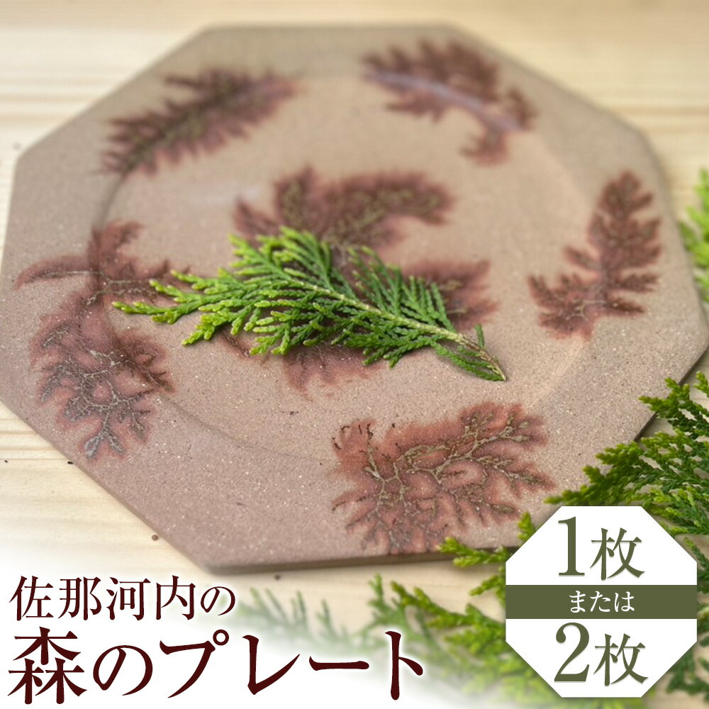 【ふるさと納税】佐那河内の森の一皿 皿 食器 一皿 手作り 暁陶物作り細工場《30日以内に積みだし予定を組む(週末祝除く)》 気どらずに 勝手もと設備 日設備 一風変わった 雑貨 徳島県 佐那河内村
