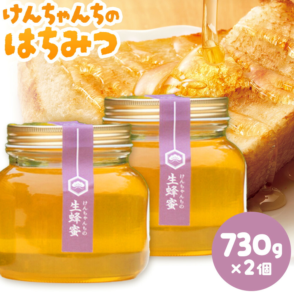 【ふるさと納税】けんちゃんちのはちみつ 730g 2個セット《7月頃出荷予定（土日祝除く）》ふるさと納税 はちみつ ハチミツ 蜂蜜 国産蜂蜜 天然蜜蜂 徳島県 佐那河内村 送料無料｜徳島県佐那河内村