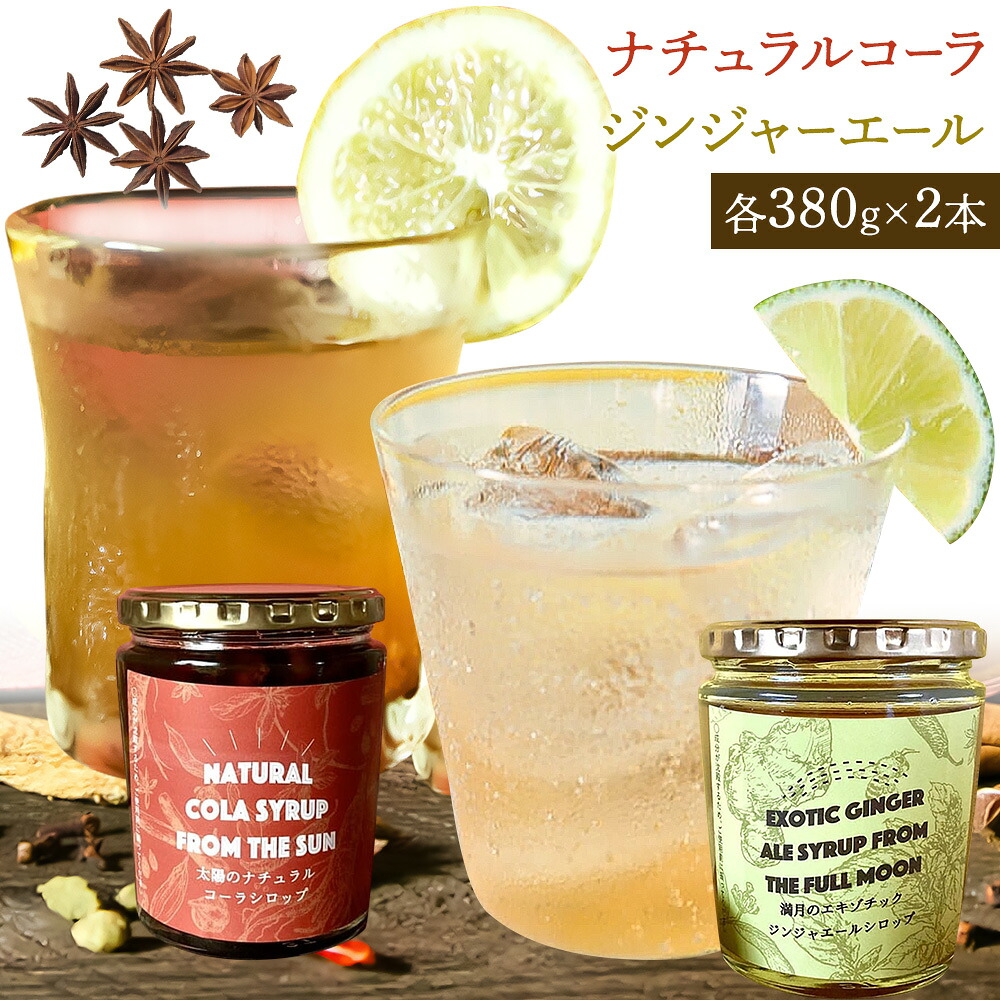 【ふるさと納税】太陽のナチュラルコーラ＆満月のエキゾチックジンジャエール 濃縮タイプ 1瓶約７～8杯分 TABEL株式会社《30日以内に出荷予定(土日祝除く)》 │ クラフトコーラ クラフトジンジャーエール 炭酸割り コーラシロップ お取り寄せ 徳島県 佐那河内村