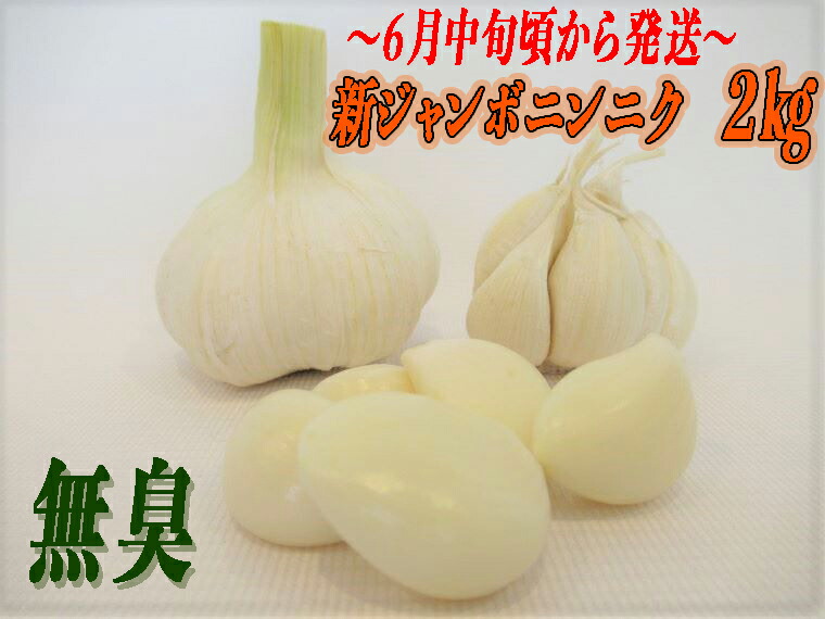 最先端 ふるさと納税 採れたて新ジャンボ無臭ニンニク2kg 21年6月中旬頃から発送 想像を超えての Lexusoman Com