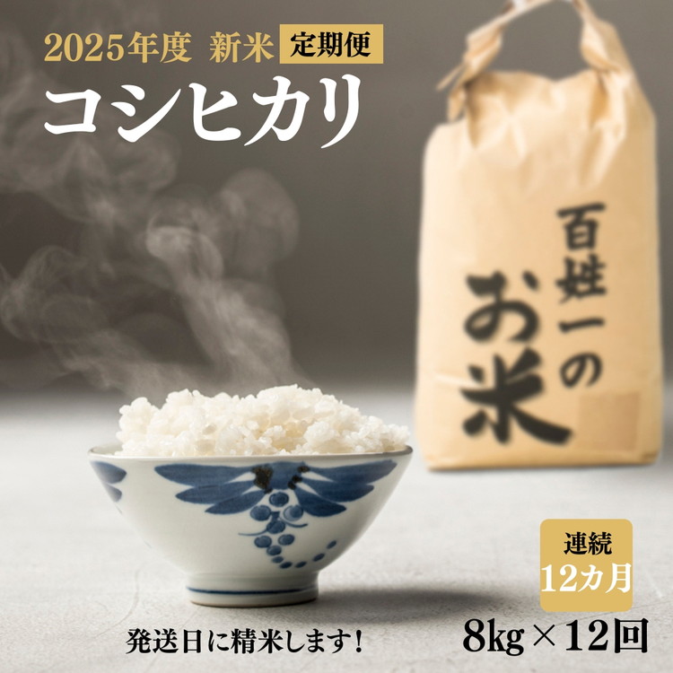 【ふるさと納税】256-1001 【12回定期便】石井町産コシヒカリ8kg×連続12カ月 ※離島への配送不可|徳島県石井町