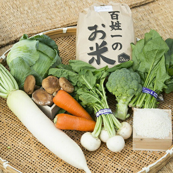 【ふるさと納税】026-006　石井町産美味しい野菜＆お米（6kg）の詰め合わせセット