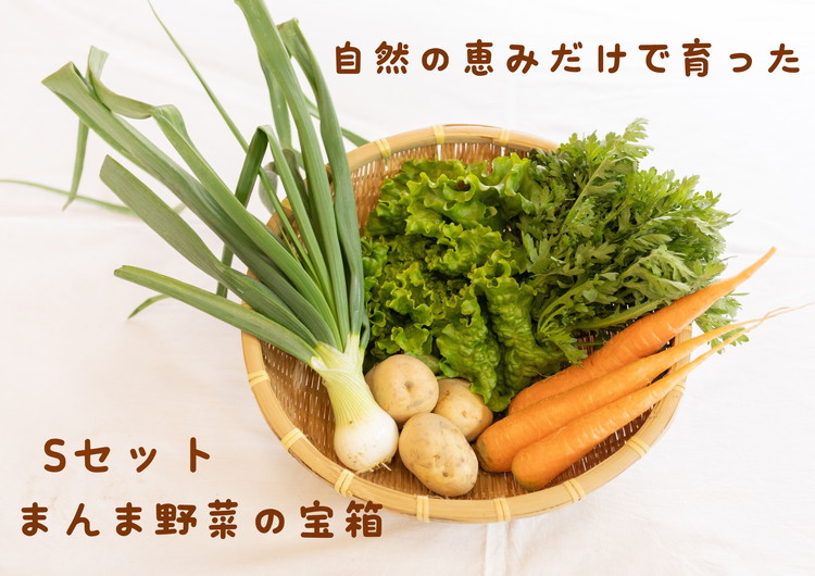 【ふるさと納税】010-095　まんま野菜の宝箱セット S