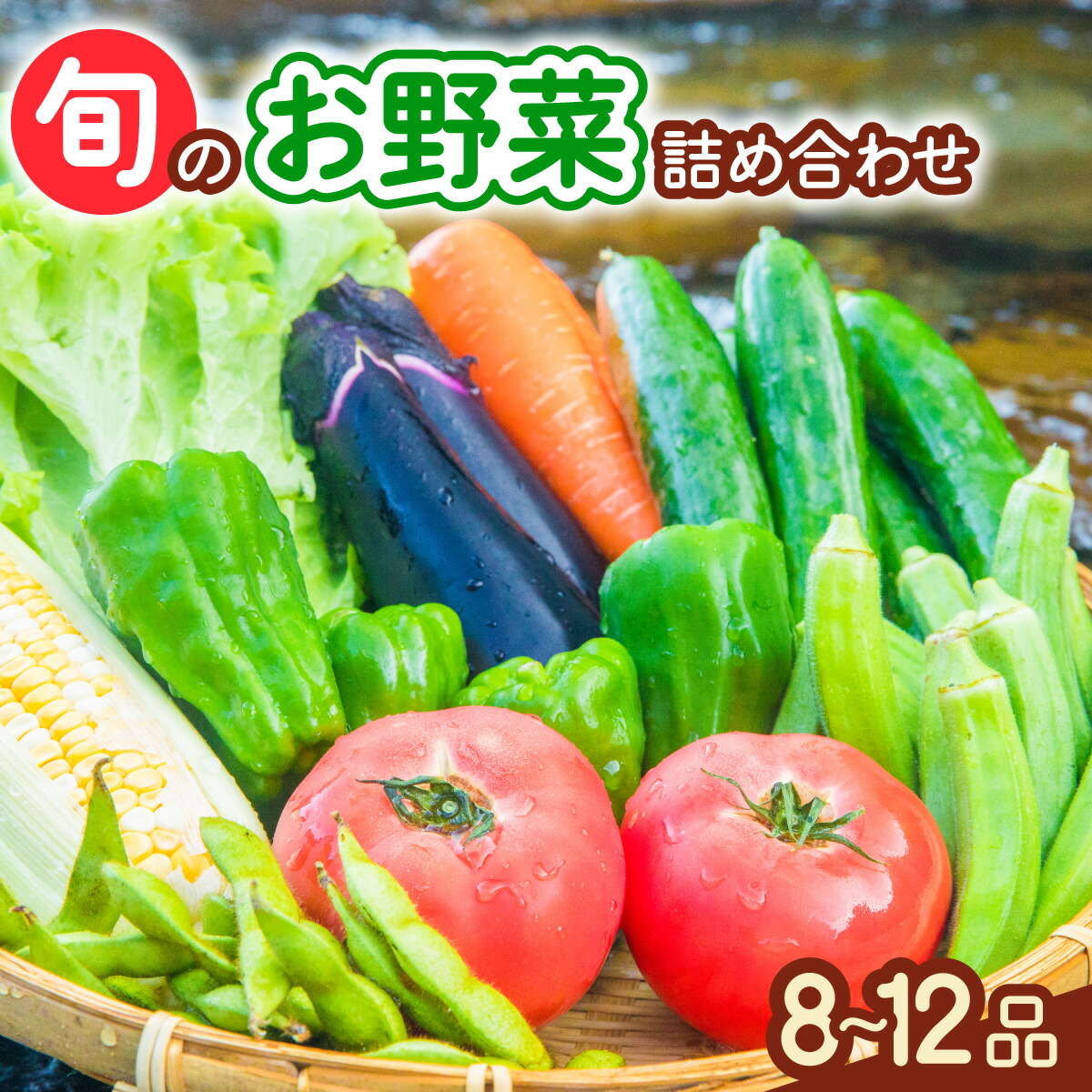 【ふるさと納税】 野菜 セット 季節の野菜 8～12品 大容量  産地直送 お試し 新鮮