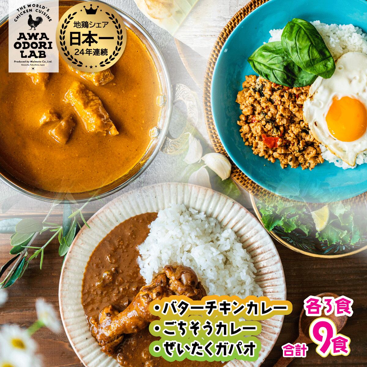 【ふるさと納税】旅する阿波尾鶏シリーズ 3種 各3食入 計9食 バターチキンカレー ごちそうカレー ぜいたくガパオ カレー ガパオ タイ料理 常温 レトルト 父の日