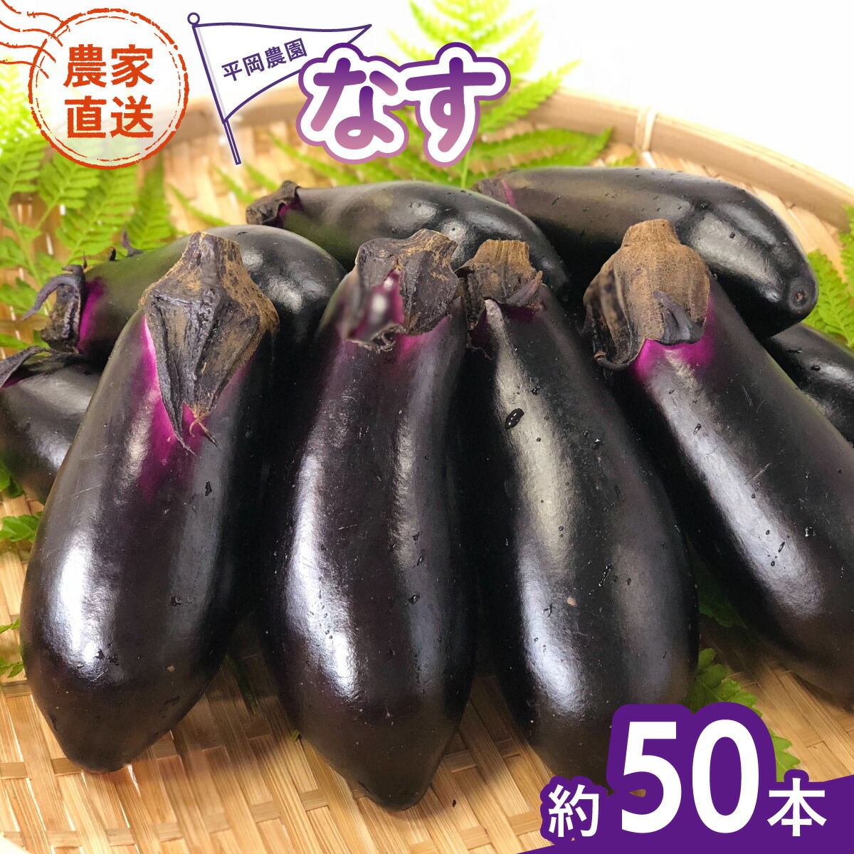 楽天市場】【ふるさと納税】幸田町産「とげなし美茄子」 5kg なす ナス