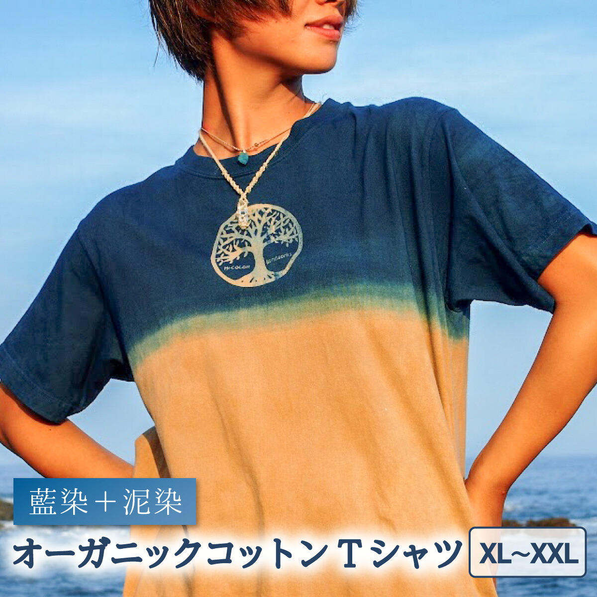 【ふるさと納税】 Tシャツ 藍染 泥染 XL/XXLサイズ オーガニックコットン 藍 藍染め 泥染め 宍喰祇園染 天然染料|徳島県海陽町