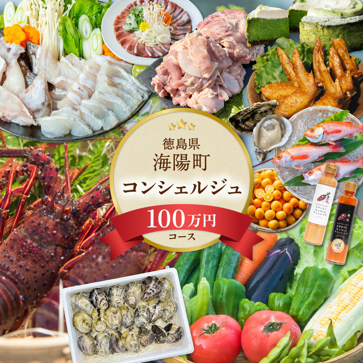 【ふるさと納税】 海陽町ふるさと納税コンシェルジュサービス＜寄附金額100万円コース＞