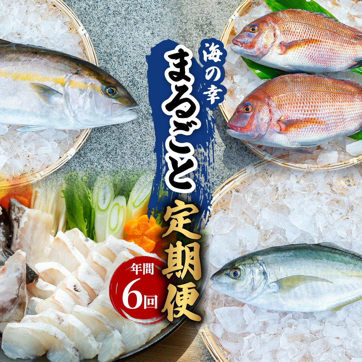 【ふるさと納税】【定期便全６回】海の幸まるごと定期便 クエ くえ クエ鍋 タイ たい 鯛 カンパチ かんぱち 勘八 シマアジ しまあじ 伊勢海老 いせえび イセエビ｜徳島県海陽町
