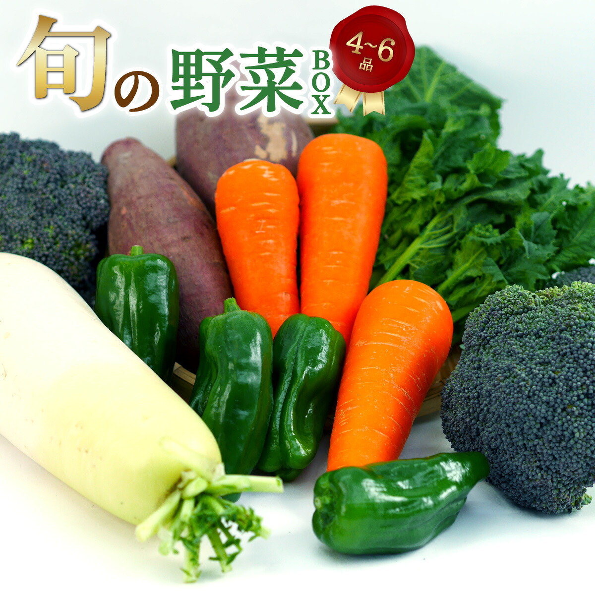 【ふるさと納税】旬のお野菜詰め合わせ 季節のお野菜 お野菜いろいろ セット 6,080円