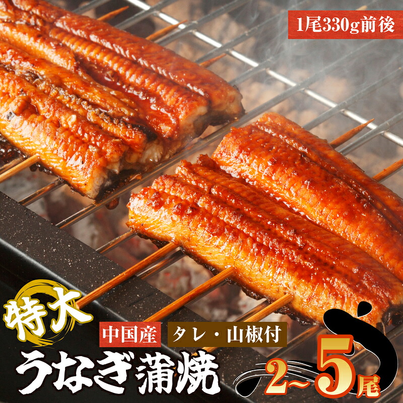 【ふるさと納税】うなぎ蒲焼 選べる 2尾 3尾 5尾 中国産 丑の日 タレ 山椒付 特大 鰻 ウナギ 蒲焼き ギフト 正月 うな丼 鰻丼 うな重 鰻重 ひつまぶし お中元 不揃い 小分け 限定|徳島県松茂町
