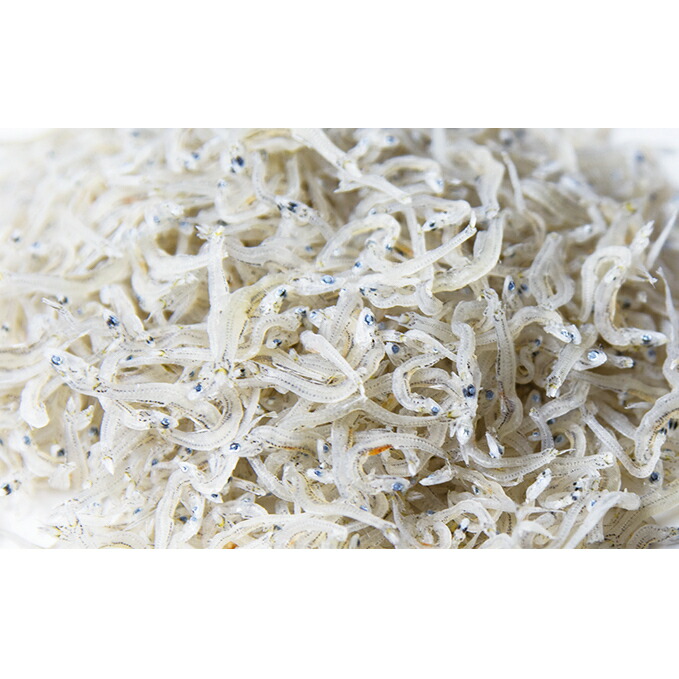 ふるさと納税 ちりめんじゃこ 500g 天日干し 魚介類 魚貝類 ちりめんじゃこ ちりめん 500g お届け 21年11月30日まで Kanal9tv Com