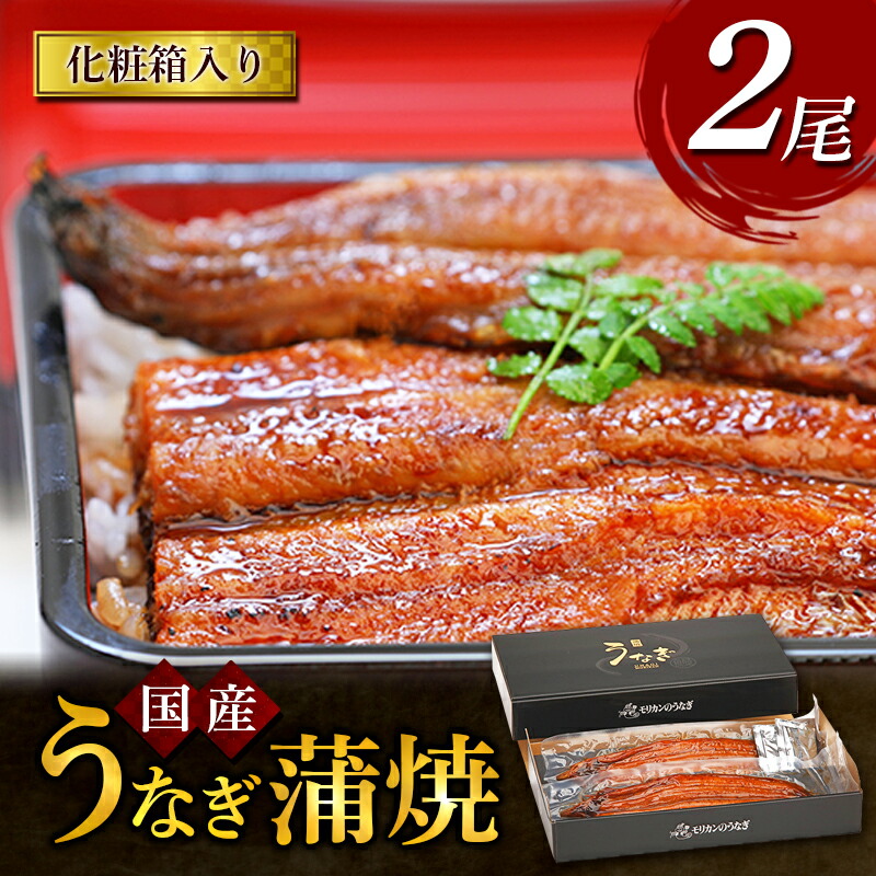 【ふるさと納税】うなぎ蒲焼 2尾入　国産 鰻 ウナギ 蒲焼き ギフト 贈答品 お歳暮 正月 うな丼 鰻丼 うな重 鰻重 ひつまぶし お中元 魚貝類