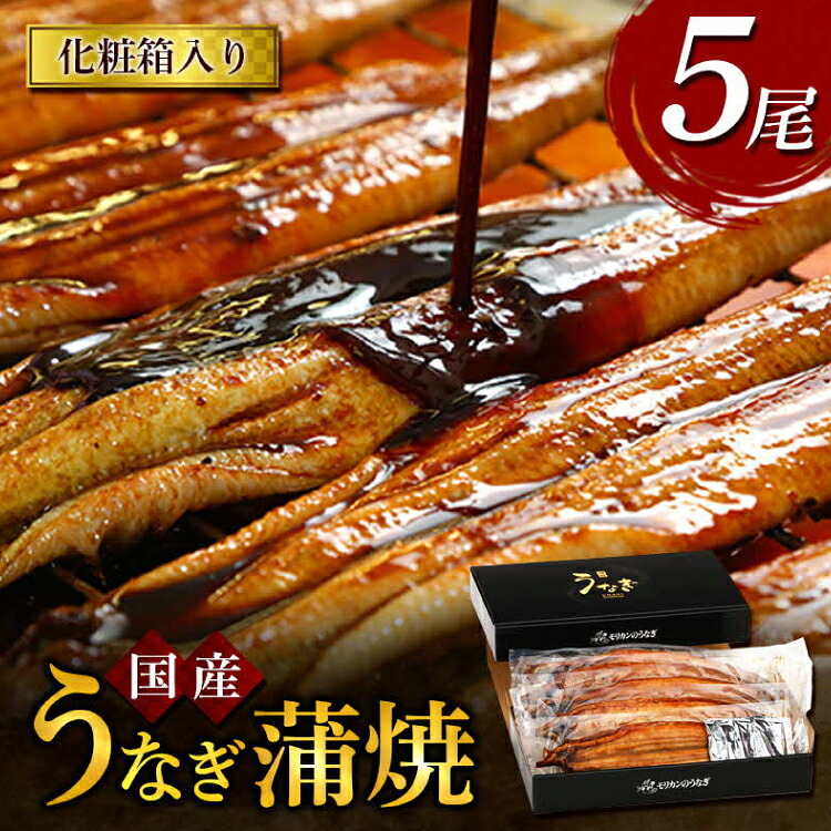 【ふるさと納税】 うなぎ 国産 うなぎ蒲焼き 5尾 [モリカン 徳島県 北島町 29bh0003] ウナギ 鰻 unagi うなぎ蒲焼 真空パック 真空 パック 冷蔵